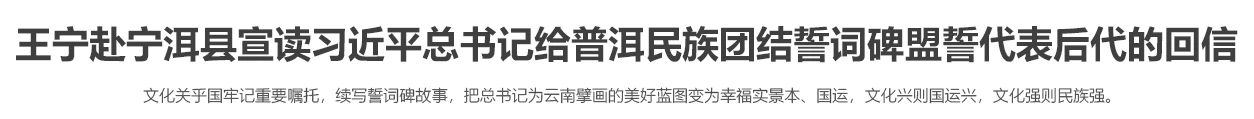 王寧赴寧洱縣宣讀習近平總書記給普洱民族團結誓詞碑盟誓代表后代的回信